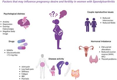 Fertility issues in women of childbearing age with spondyloarthritis